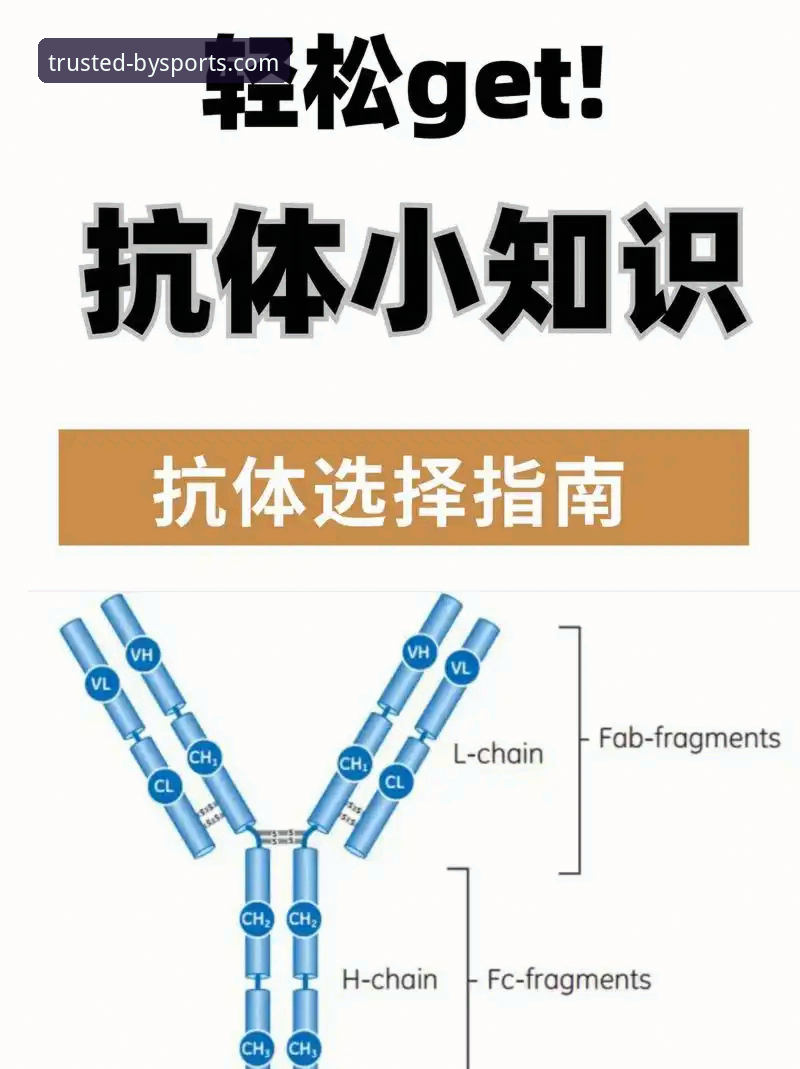 掌握必一体育平台使用的实用技巧，从下载到登录的全流程指南